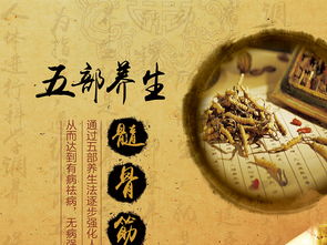 融合中醫養生文化，打造專業展板設計——高清PSD模板助力企業健康服務推廣